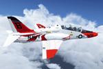 T-45C Goshawk 167100/B322 VT-22 Golden Eagles Textures