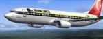 Boing 737-800 Fenerbahce Textures