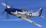 FS2004/FSX ALPHA P-51D Mustang - 414814 - Textures