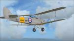 Ants Tiger Moth Pro for FSX XL716 Textures