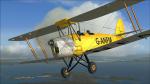 Ants Tiger Moth Pro GANFM Textures