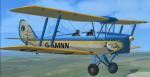 Ant's Tiger Moth Pro Gamnn Southern Flying Centre Textures