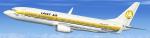 FSX default Boeing 737-800 repaint honoring FS designer Steve Lacey