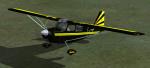 FSX/FS2004 Bellanca Decathlon Black and Yellow Textures