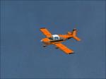 Grumman AA-5B Tiger TigerStripe Textures