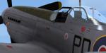 WoP3 P-51D '303' Sqn Textures