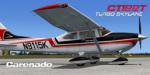 Carenado CT182T Skylane Sklyane 65th Anniversary Astro Paintsceme