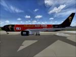 Level D Boeing 767-300 Fifa World Cup Trophy Textures