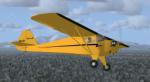 Auster-Taylorcraft Plus C