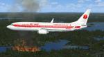 FSX Default 737-800  Janet Fleet Repaint 11-Pack