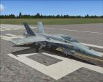 FSX Acceleration FA-18 Hornet Argentine Textures