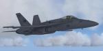 FSX F/A-18 Combat Version