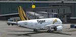 Aerosoft A319 Tiger Airways Old Textures