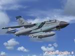 FS2004                   Tornado 'F-24'. USAF Wild Weasel Textures only. 