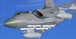 FSX Acceleration IRIS Tornado F-3 Freeware