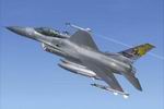FS2004                   Lockheed Martin F-16C Viper USAF 79th FS/20th FW '79th Anniversary'                   c.1997 Textures only