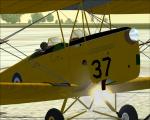 Spike's Tiger Moth with Engine Fire Effects