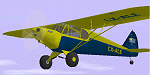 FS98/FS2000
                  Piper PA-11 Cub Registration: CX-ALE