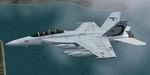 FS2004                   EA-18 VAQ-132 Scorpions Textures only. 