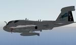FS2004/2002
                  EA-6B PRowler of VAQ-135 "Black Ravens" Textures only
