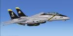  FSX  F-14D Tomcat / Repaint two pack Textures