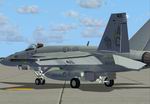 FS2004                   FA-18 Super Hornet VFA-105 411The Gunsligers Textures only