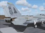 VF-143 "Pukin' Dogs" F-14A