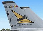 VF-21 Freelancers F-14A Tomcat