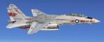 F-14D Tomcat - VF-1 Wolfpack Textures