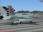 FSX/FS2004                   F/A-18E or F Super Hornet VX-23 CAG Salty Dogs textures Only