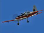 FS2004                   De Havilland Chipmunk WD325 Army Air Corps Textures Only