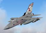 LJLSim Tornado GR4 41 Sqn Anniversary Textures