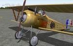 FS2004/FSX Nieuport 17 Package
